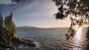 ./images/koeye/fitz-hugh/20260519/fitz-hugh20260519_194501M.jpg