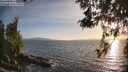 ./images/koeye/fitz-hugh/20260519/fitz-hugh20260519_195001M.jpg