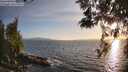 ./images/koeye/fitz-hugh/20260519/fitz-hugh20260519_195501M.jpg