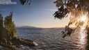 ./images/koeye/fitz-hugh/20260519/fitz-hugh20260519_201502M.jpg