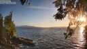 ./images/koeye/fitz-hugh/20260519/fitz-hugh20260519_202001M.jpg