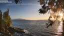 ./images/koeye/fitz-hugh/20260519/fitz-hugh20260519_202501M.jpg