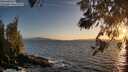 ./images/koeye/fitz-hugh/20260519/fitz-hugh20260519_203501M.jpg