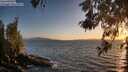 ./images/koeye/fitz-hugh/20260519/fitz-hugh20260519_204001M.jpg