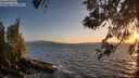 ./images/koeye/fitz-hugh/20260519/fitz-hugh20260519_204501M.jpg