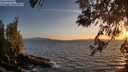 ./images/koeye/fitz-hugh/20260519/fitz-hugh20260519_205001M.jpg