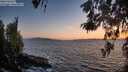 ./images/koeye/fitz-hugh/20260519/fitz-hugh20260519_212501M.jpg