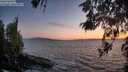 ./images/koeye/fitz-hugh/20260519/fitz-hugh20260519_214001M.jpg