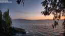 ./images/koeye/fitz-hugh/20260519/fitz-hugh20260519_214501M.jpg