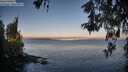 ./images/koeye/fitz-hugh/20260520/fitz-hugh20260520_062001M.jpg