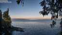 ./images/koeye/fitz-hugh/20260520/fitz-hugh20260520_063501M.jpg