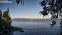 ./images/koeye/fitz-hugh/20260520/fitz-hugh20260520_064002M.jpg