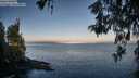 ./images/koeye/fitz-hugh/20260520/fitz-hugh20260520_065002M.jpg