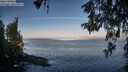 ./images/koeye/fitz-hugh/20260520/fitz-hugh20260520_071001M.jpg