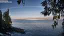 ./images/koeye/fitz-hugh/20260520/fitz-hugh20260520_072001M.jpg
