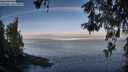 ./images/koeye/fitz-hugh/20260520/fitz-hugh20260520_072501M.jpg