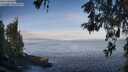 ./images/koeye/fitz-hugh/20260520/fitz-hugh20260520_074001M.jpg