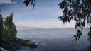 ./images/koeye/fitz-hugh/20260520/fitz-hugh20260520_074501M.jpg