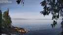 ./images/koeye/fitz-hugh/20260520/fitz-hugh20260520_080502M.jpg