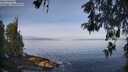 ./images/koeye/fitz-hugh/20260520/fitz-hugh20260520_081002M.jpg