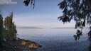./images/koeye/fitz-hugh/20260520/fitz-hugh20260520_082001M.jpg