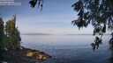 ./images/koeye/fitz-hugh/20260520/fitz-hugh20260520_082501M.jpg
