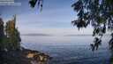 ./images/koeye/fitz-hugh/20260520/fitz-hugh20260520_083002M.jpg