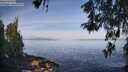 ./images/koeye/fitz-hugh/20260520/fitz-hugh20260520_083501M.jpg