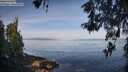./images/koeye/fitz-hugh/20260520/fitz-hugh20260520_084001M.jpg