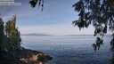 ./images/koeye/fitz-hugh/20260520/fitz-hugh20260520_085001M.jpg