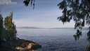 ./images/koeye/fitz-hugh/20260520/fitz-hugh20260520_090001M.jpg