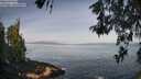 ./images/koeye/fitz-hugh/20260520/fitz-hugh20260520_090501M.jpg