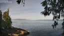 ./images/koeye/fitz-hugh/20260520/fitz-hugh20260520_091002M.jpg