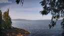 ./images/koeye/fitz-hugh/20260520/fitz-hugh20260520_093001M.jpg