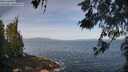 ./images/koeye/fitz-hugh/20260520/fitz-hugh20260520_094001M.jpg