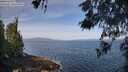 ./images/koeye/fitz-hugh/20260520/fitz-hugh20260520_094501M.jpg