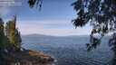./images/koeye/fitz-hugh/20260520/fitz-hugh20260520_095501M.jpg