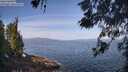 ./images/koeye/fitz-hugh/20260520/fitz-hugh20260520_100001M.jpg