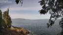 ./images/koeye/fitz-hugh/20260520/fitz-hugh20260520_101501M.jpg