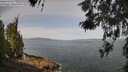 ./images/koeye/fitz-hugh/20260520/fitz-hugh20260520_102502M.jpg