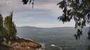./images/koeye/fitz-hugh/20260520/fitz-hugh20260520_113002M.jpg