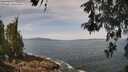 ./images/koeye/fitz-hugh/20260520/fitz-hugh20260520_113501M.jpg