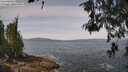 ./images/koeye/fitz-hugh/20260520/fitz-hugh20260520_115501M.jpg