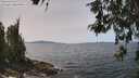 ./images/koeye/fitz-hugh/20260520/fitz-hugh20260520_132501M.jpg