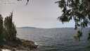 ./images/koeye/fitz-hugh/20260520/fitz-hugh20260520_133001M.jpg