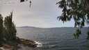 ./images/koeye/fitz-hugh/20260520/fitz-hugh20260520_134001M.jpg