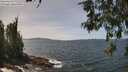 ./images/koeye/fitz-hugh/20260520/fitz-hugh20260520_134502M.jpg