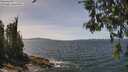 ./images/koeye/fitz-hugh/20260520/fitz-hugh20260520_135002M.jpg