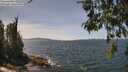 ./images/koeye/fitz-hugh/20260520/fitz-hugh20260520_135501M.jpg