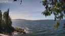 ./images/koeye/fitz-hugh/20260520/fitz-hugh20260520_141001M.jpg